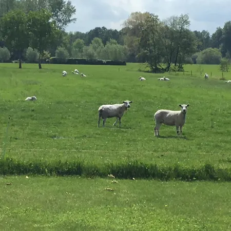 Πανσιόν De Weije Wereld Sint-Oedenrode