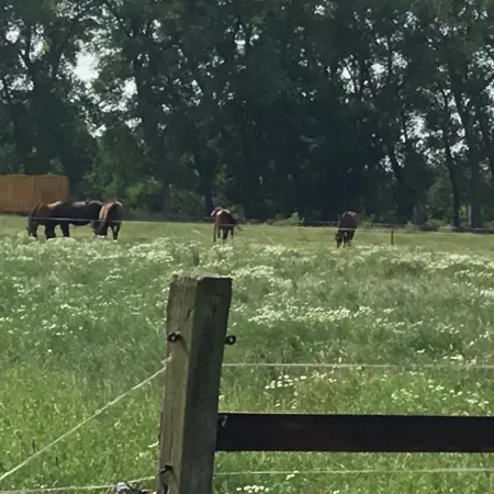 Πανσιόν De Weije Wereld