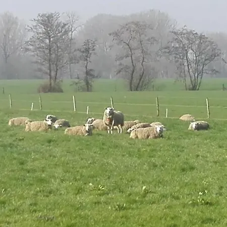 De Weije Wereld Gasthuis 3*