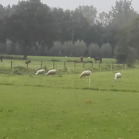 De Weije Wereld Bed & Breakfast *