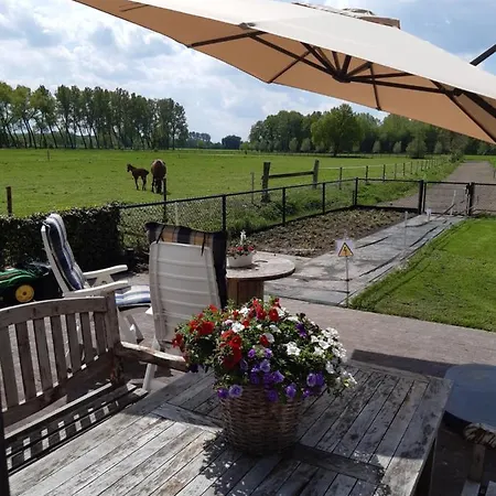 De Weije Wereld Πανσιόν