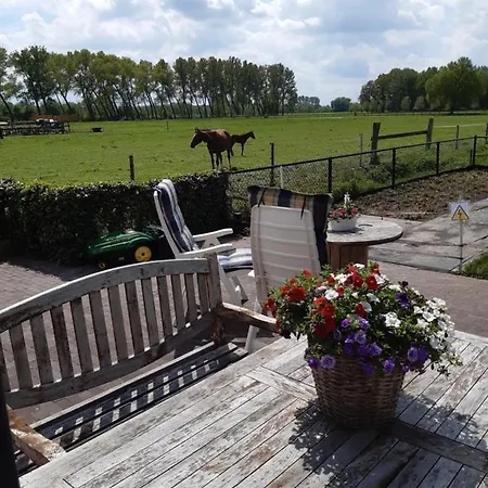 Πανσιόν De Weije Wereld Sint-Oedenrode