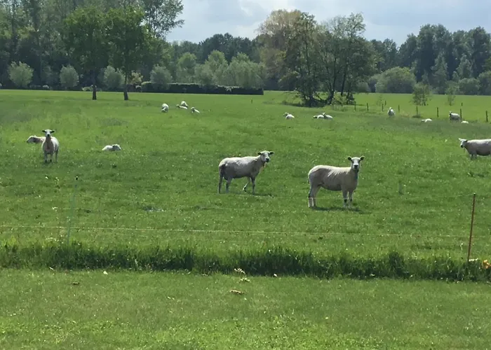 Gasthuis De Weije Wereld Sint-Oedenrode