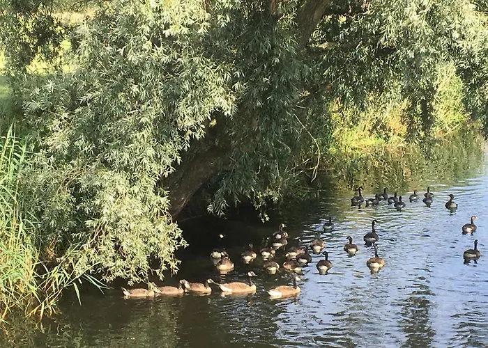 De Weije Wereld Gasthuis