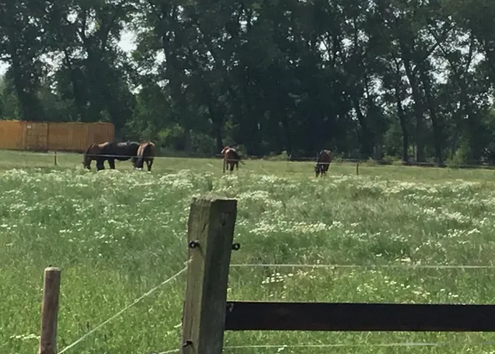 Pensjonat De Weije Wereld