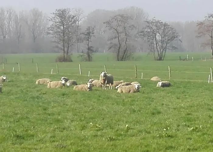 De Weije Wereld Gasthuis 3*