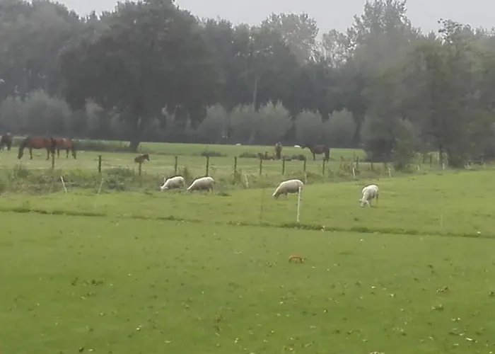 De Weije Wereld Gasthuis 3*