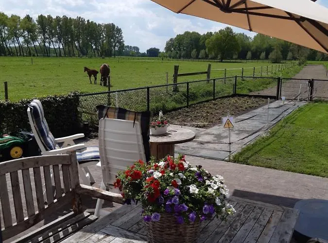 De Weije Wereld Affittacamere