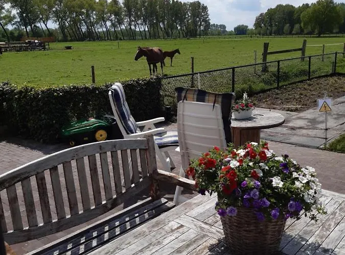 Gasthuis De Weije Wereld Sint-Oedenrode