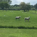 Konukevi De Weije Wereld Sint-Oedenrode