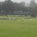 De Weije Wereld Konukevi 3*